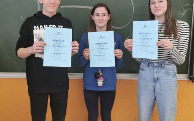 Mednarodni dan matematike