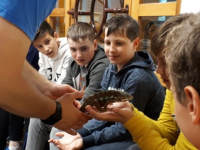 20190509_111728