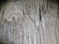 20161027_120615
