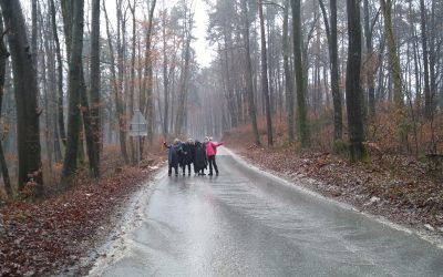 MEPI POHOD NA RAŠICO