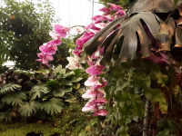 20191120_103838