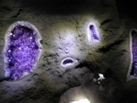 dscn0248