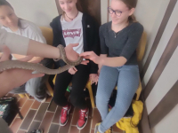 IMG20250327102658